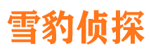 静海调查公司